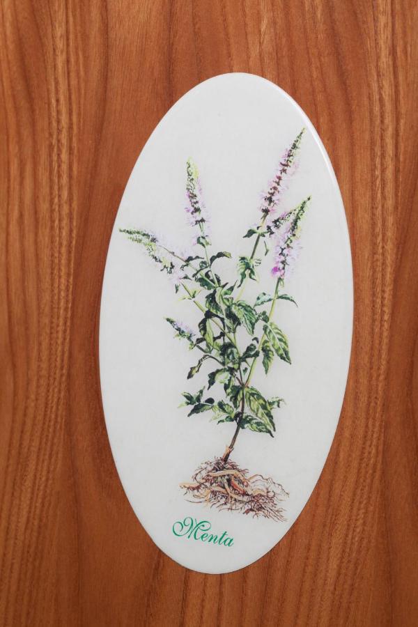 Bed & Breakfast Conca Verde Cavriana エクステリア 写真