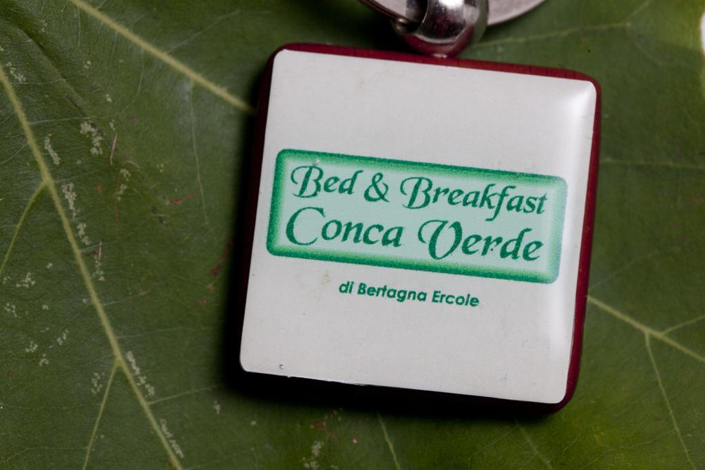 Bed & Breakfast Conca Verde Cavriana エクステリア 写真